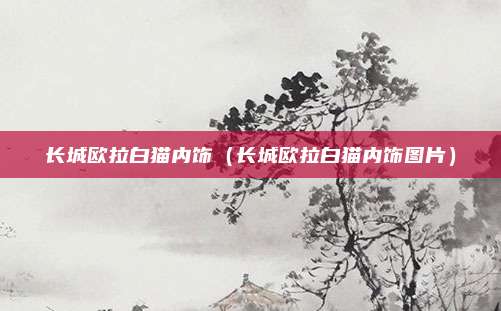 长城欧拉白猫内饰（长城欧拉白猫内饰图片）