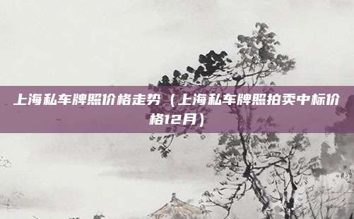 上海私车牌照价格走势(上海私车牌照拍卖中标价格12月)