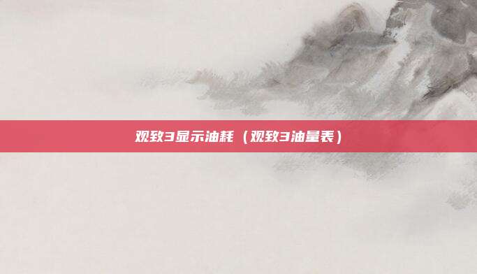 观致3显示油耗（观致3油量表）