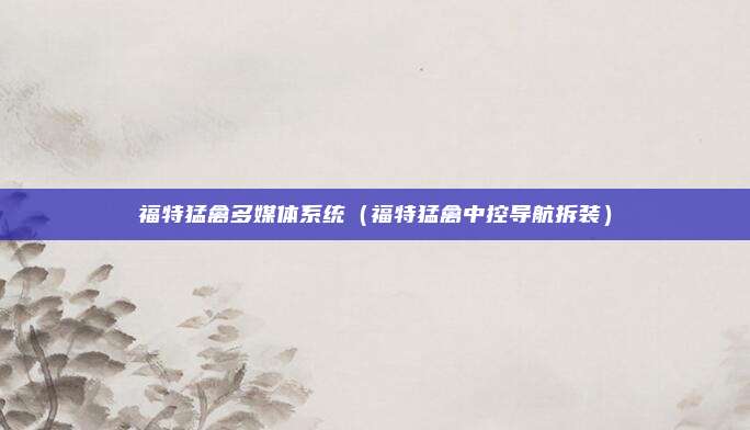 福特猛禽多媒体系统（福特猛禽中控导航拆装）