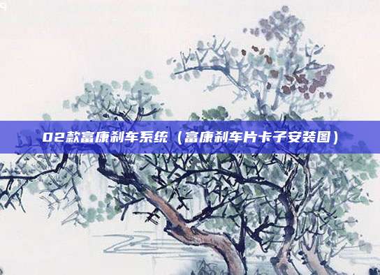 02款富康刹车系统（富康刹车片卡子安装图）