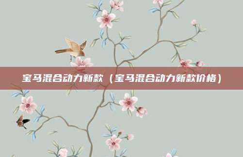 宝马混合动力新款（宝马混合动力新款价格）