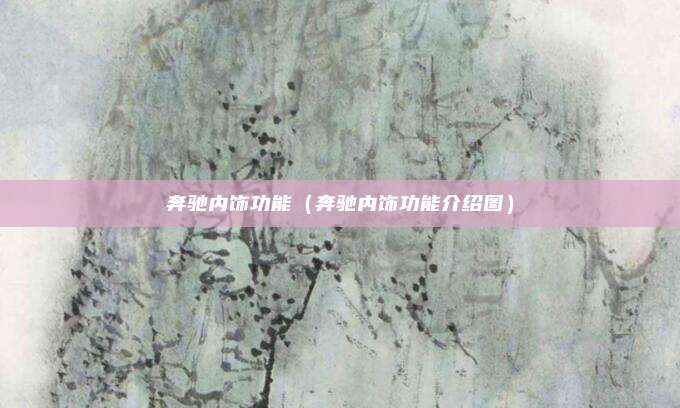奔驰内饰功能（奔驰内饰功能介绍图）