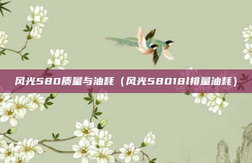 风光580质量与油耗(风光58018l排量油耗)