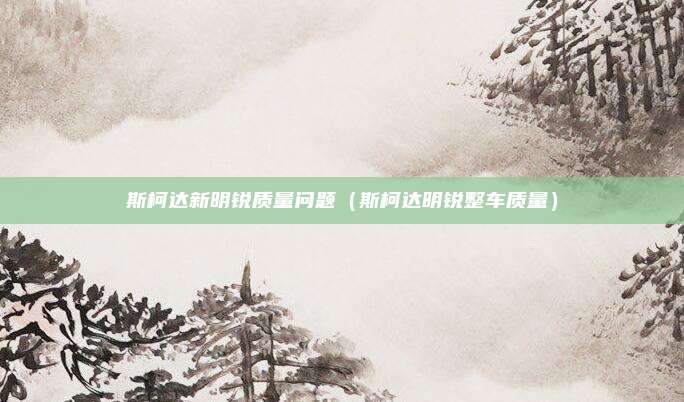 斯柯达新明锐质量问题（斯柯达明锐整车质量）