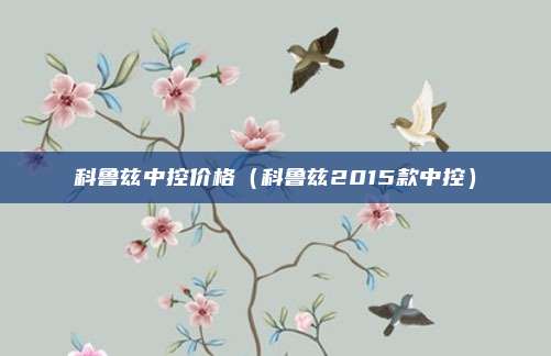 科鲁兹中控价格（科鲁兹2015款中控）