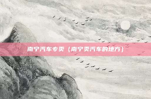 南宁汽车专卖(南宁卖汽车的地方)