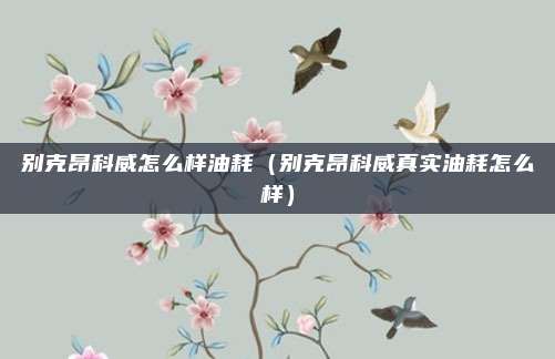 别克昂科威怎么样油耗(别克昂科威真实油耗怎么样)