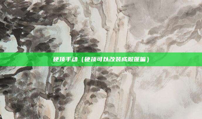 硬顶手动(硬顶可以改装成敞篷嘛)