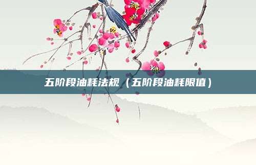 五阶段油耗法规（五阶段油耗限值）