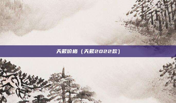 天簌价格（天簌2022款）