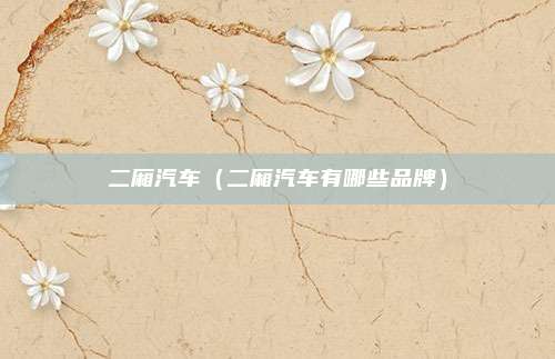二厢汽车（二厢汽车有哪些品牌）