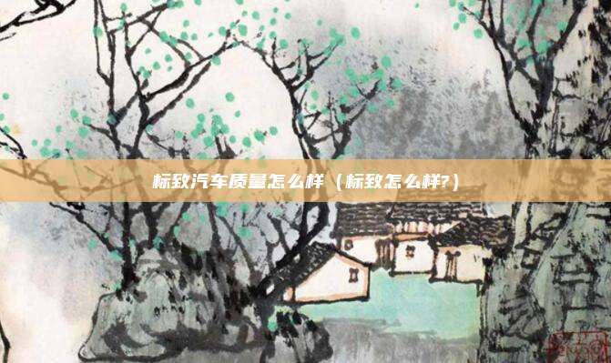 标致汽车质量怎么样（标致怎么样?）