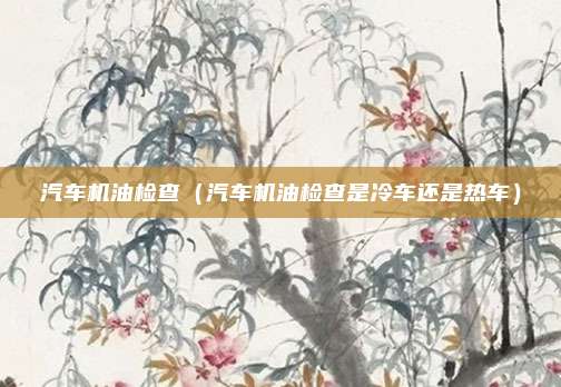 汽车机油检查（汽车机油检查是冷车还是热车）