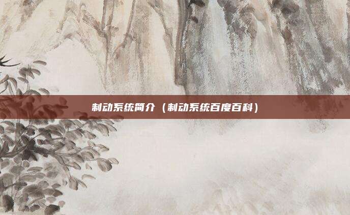 制动系统简介（制动系统百度百科）