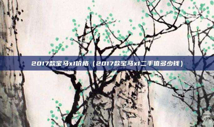 2017款宝马x1价格（2017款宝马x1二手值多少钱）