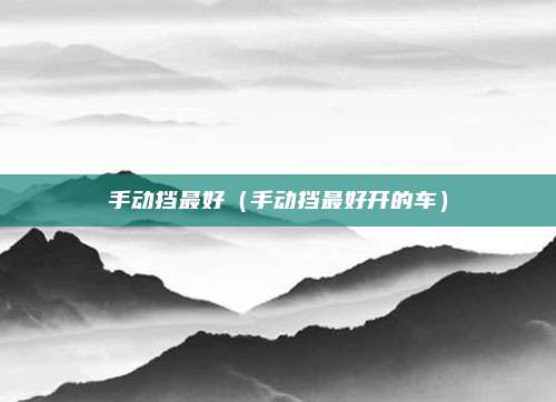 手动挡最好(手动挡最好开的车)