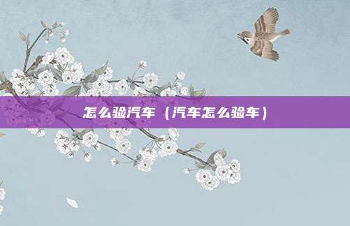 怎么验汽车(汽车怎么验车)