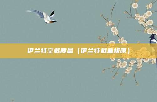 伊兰特空载质量(伊兰特载重极限)