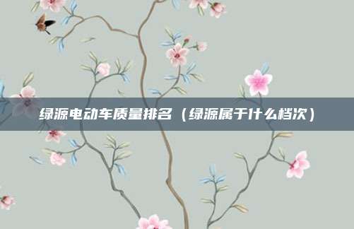 绿源电动车质量排名(绿源属于什么档次)