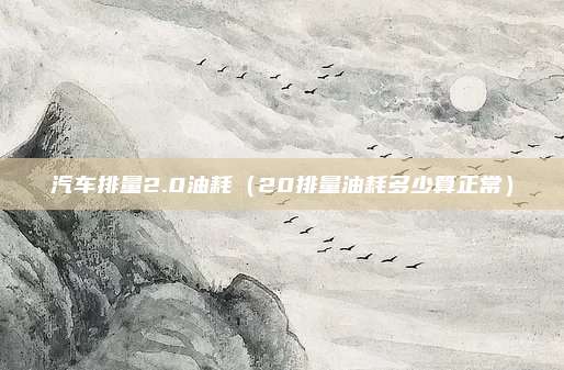 汽车排量2.0油耗（20排量油耗多少算正常）