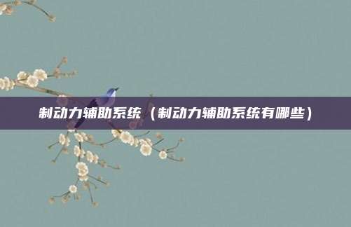 制动力辅助系统（制动力辅助系统有哪些）