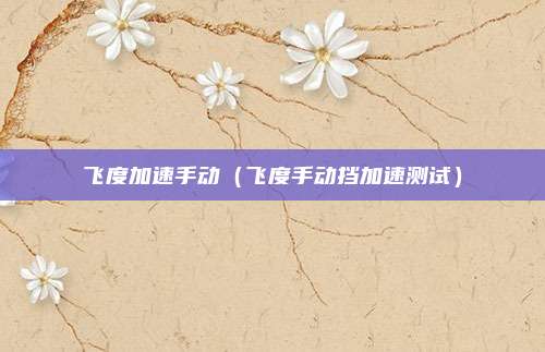飞度加速手动（飞度手动挡加速测试）