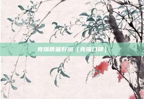 竞瑞质量好吗（竞瑞口碑）