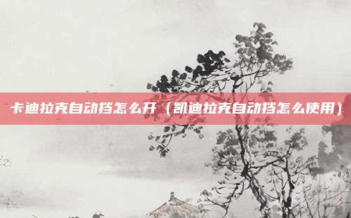 卡迪拉克自动挡怎么开（凯迪拉克自动挡怎么使用）