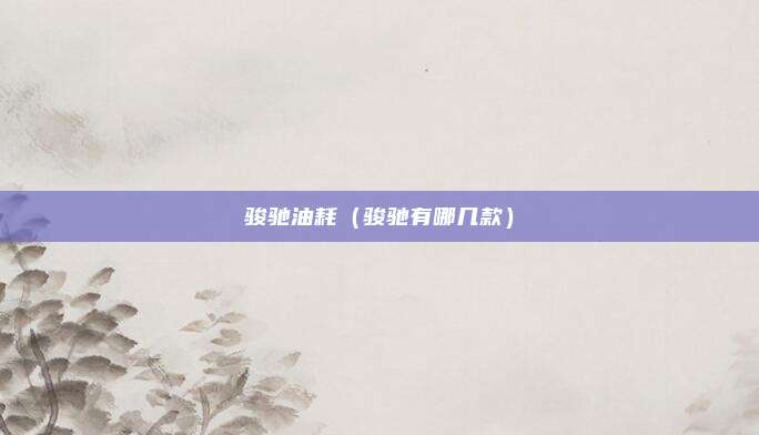 骏驰油耗(骏驰有哪几款)