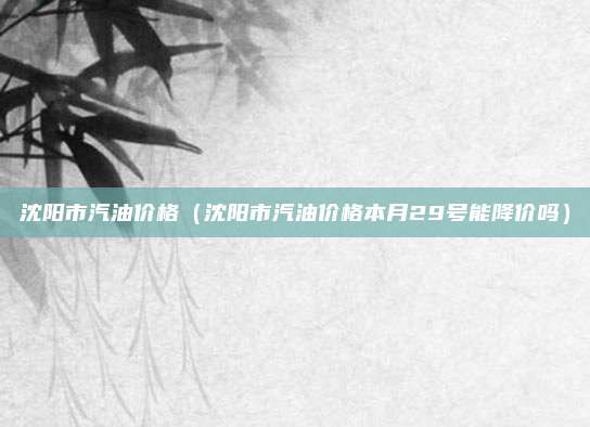 沈阳市汽油价格(沈阳市汽油价格本月29号能降价吗)
