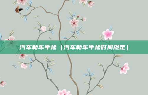汽车新车年检(汽车新车年检时间规定)
