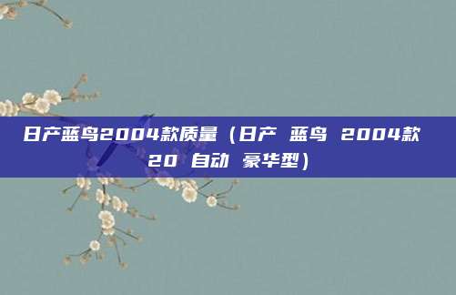 日产蓝鸟2004款质量（日产 蓝鸟 2004款 20 自动 豪华型）