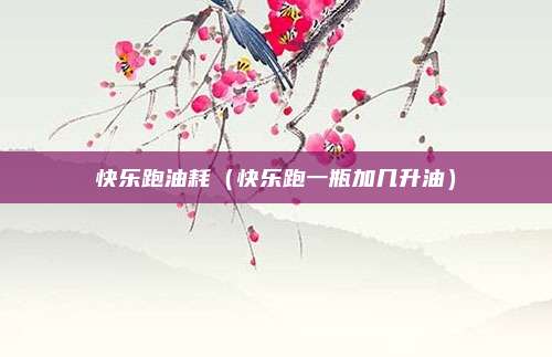 快乐跑油耗（快乐跑一瓶加几升油）