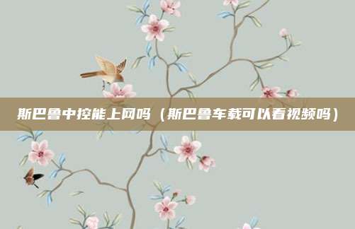 斯巴鲁中控能上网吗（斯巴鲁车载可以看视频吗）