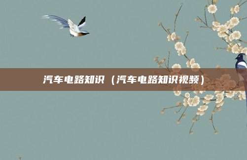 汽车电路知识(汽车电路知识视频)