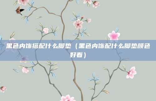 黑色内饰搭配什么脚垫(黑色内饰配什么脚垫颜色好看)
