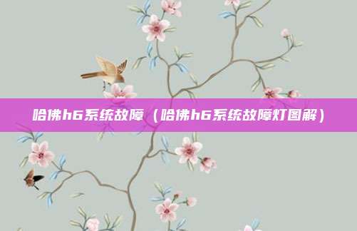 哈佛h6系统故障（哈佛h6系统故障灯图解）