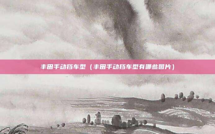 丰田手动挡车型（丰田手动挡车型有哪些图片）