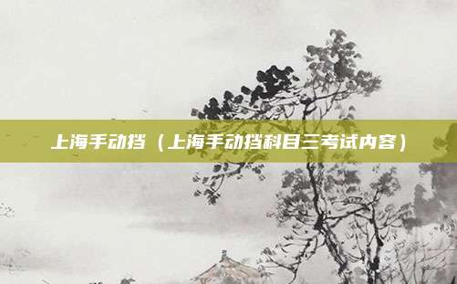 上海手动挡（上海手动挡科目三考试内容）