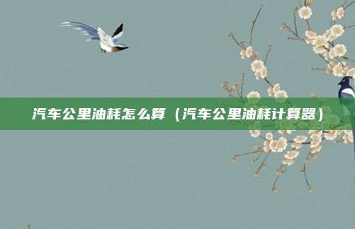 汽车公里油耗怎么算（汽车公里油耗计算器）