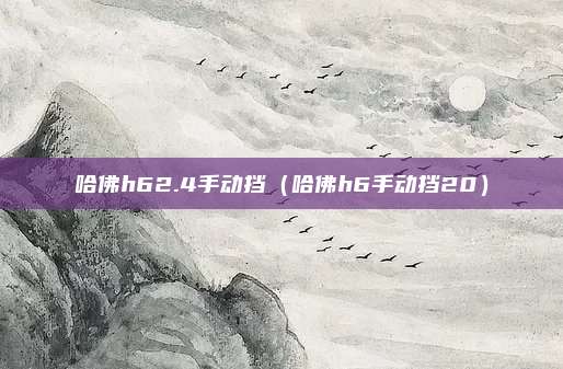 哈佛h62.4手动挡（哈佛h6手动挡20）