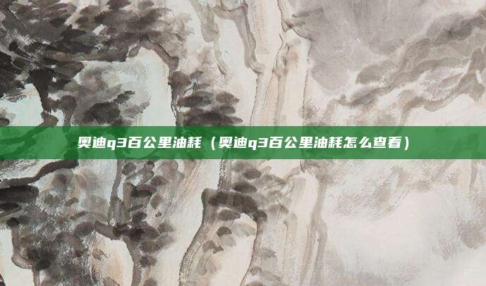 奥迪q3百公里油耗（奥迪q3百公里油耗怎么查看）