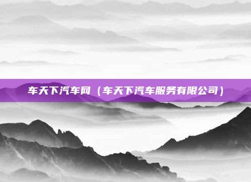 车天下汽车网（车天下汽车服务有限公司）