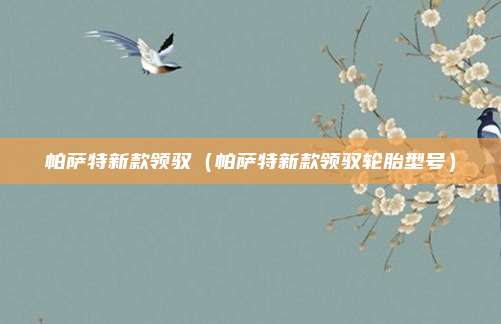 帕萨特新款领驭（帕萨特新款领驭轮胎型号）