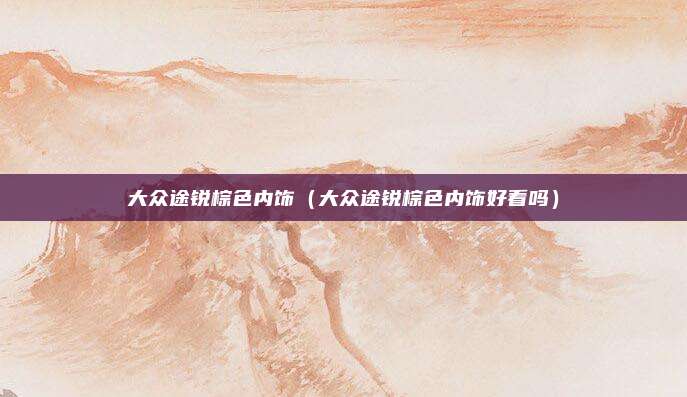 大众途锐棕色内饰（大众途锐棕色内饰好看吗）