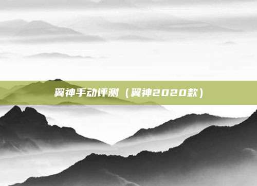翼神手动评测（翼神2020款）