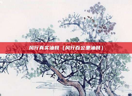 风行真实油耗（风行百公里油耗）