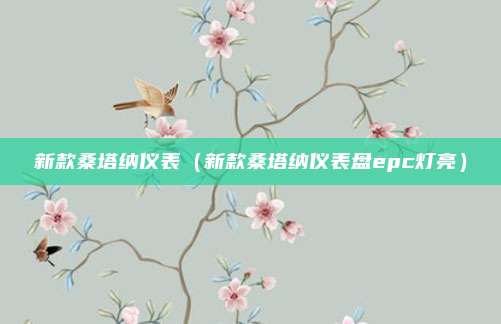 新款桑塔纳仪表(新款桑塔纳仪表盘epc灯亮)