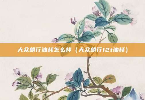 大众朗行油耗怎么样（大众朗行12t油耗）